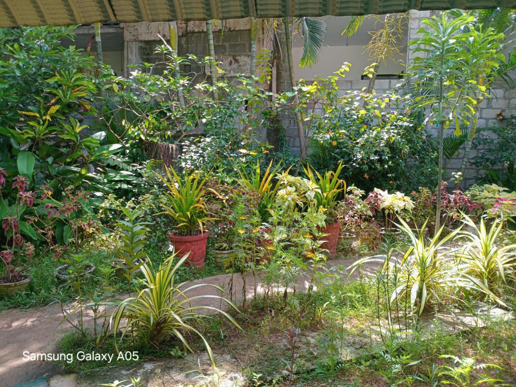 City Paradise Dambulla Buitenkant foto